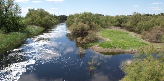 Ojos del Guadiana Vivos, contra el Plan de Tablas de Daimiel