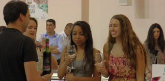 Los vinos DO La Mancha se presentan con éxito en Toledo