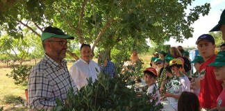5.000 personas celebran el Día del Medio Ambiente en “El Borril”