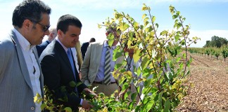 Arroyo apunta al 24 de junio para el pago de la PAC