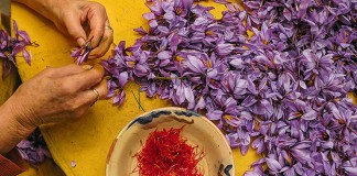 Una fotografía de azafrán gana “Foto Rural 2016”