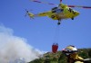 Opinión. El valor incalculable que arde en los incendios. Regino Coca. CEO Cocampo