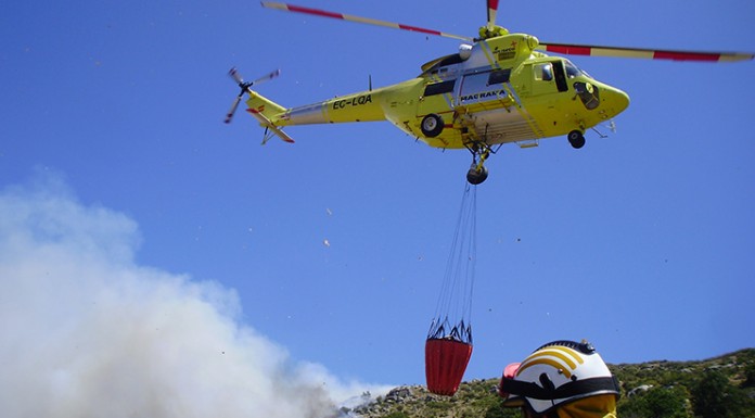 Opinión. El valor incalculable que arde en los incendios. Regino Coca. CEO Cocampo