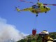 Opinión. El valor incalculable que arde en los incendios. Regino Coca. CEO Cocampo