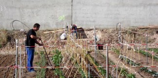 Huertos familiares se podrán atender a partir del 4 de mayo