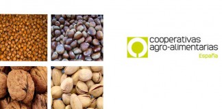 El sector de los frutos secos aborda su futuro en Albacete