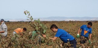La convocatoria de ayudas a la incorporación de jóvenes se publicará a final de semana
