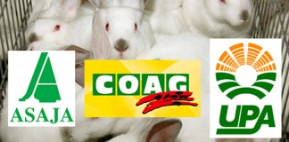 Los cunicultores se concentrarán el viernes en Madrid para evitar ruina