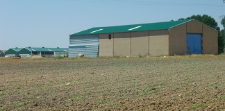 Nuevas posibilidades para generar actividad productiva en suelo rústico