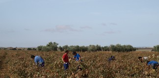 Ayudas para incorporación hasta el 25 de agosto jóvenes