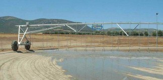 1.500 metros cúbicos para leñosos y 2.000 para herbáceos