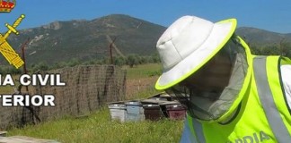 Detenidos por cinco hurtos de colmenas en municipios de Ciudad Real