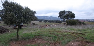 Convocadas ayudas para la financiación de avales para agricultores y ganaderos