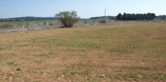 Visto bueno a nuevas medidas para paliar la sequía sequía