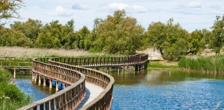 Escolares y regantes de Villarrubia aprenderán pautas eficientes de riego