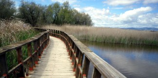 Los ecologistas, decepcionados con el Plan Rector de Las Tablas