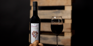 Amento, el primer vino de nueces