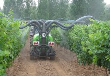 La agricultura española afronta un riesgo creciente sobre la sanidad de sus cultivos fitosanitarios