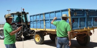Medio centenar de tractoristas en los concursos agrícolas de La Solana