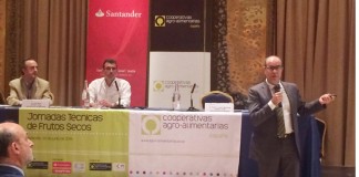 Las plantaciones superintensivas de almendro tendrán un rendimiento asegurable más alto