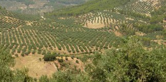 Piden mayor acceso a agua y regadíos para varias comarcas Sierra de Alcaraz