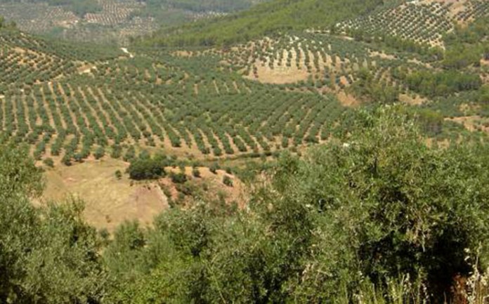 Sierra de Alcaraz