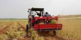 1.283 parados menos en el sector agrario, en junio