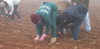 CCOO CLM insta a convocar la Comisión de Flujos Migratorios