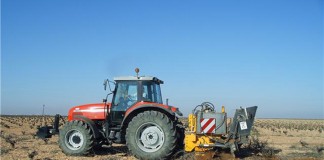 ASAJA Ciudad Real demanda celeridad en las resoluciones de concesión de derechos de arranque de viñedo arranque viñedo