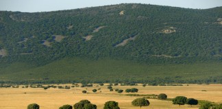 UCLM elige Cabañeros y el Estrecho del Hocino para el Gelodía