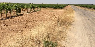 Arreglo del Camino Cirujano, motivo de debate en las Cortes Regionales