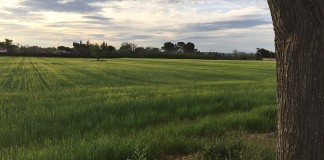 ASAJA incidirá en Bruselas sobre la improcedencia de los recortes a las ecológicas