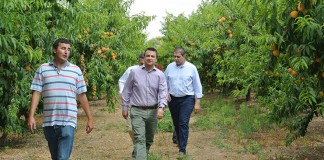 Instan al Gobierno a incluir agricultores del sureste albaceteño en Decreto de Sequía