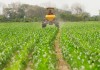 Opinión. Sin fertilizantes, no hay cosecha. Y sin cosecha, no hay Europa. ASAJA fertilizantes