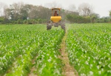 Opinión. Sin fertilizantes, no hay cosecha. Y sin cosecha, no hay Europa. ASAJA fertilizantes