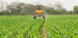 Agricultores europeos piden que se deje de proteger a industria fertilizante fertilizantes