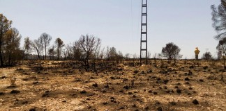 El incendio de Liétor (Albacete) arrasa más de 700 hectáreas