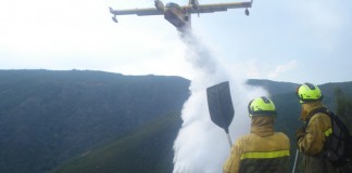 Decálogo básico para prevenir incendios forestales