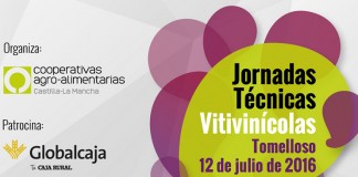 Cooperativas Agro-alimentarias debatirá sobre el sistema de retribución de la uva