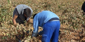 EGME, entidad clave en incorporación de jóvenes a la actividad agraria