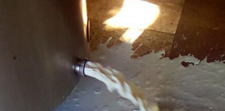 Ganaderos de ovino tiran la leche por falta de recogida