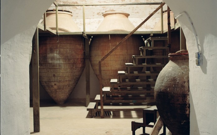 museo vino
