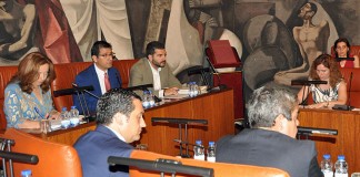 El pleno de Diputación reconoce la importancia de FENAVIN para el sector