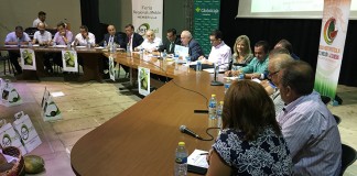 El melón manchego cotiza a 0,29-0,35 céntimos/kilo, según categorías