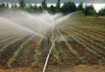 Castilla-La Mancha analizará la próxima planificación hidrológica en el Consejo Regional del Agua riegos