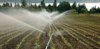 Hasta 5 febrero. Ayudas transformación y modernización regadíos riegos