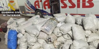 Extraño robo de 6.000 kilos de ajos denunciado en Cuenca