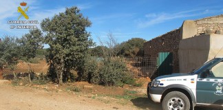 Decomisan 347 ejemplares de caza mayor en cuatro granjas ilegales, Cuenca