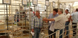 Satisfacción de Acriflor y Cabrama tras las subastas de cabras en FERCAM