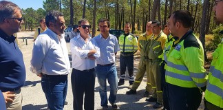 Los incendios forestales y la superficie quemada se reducen un 30%